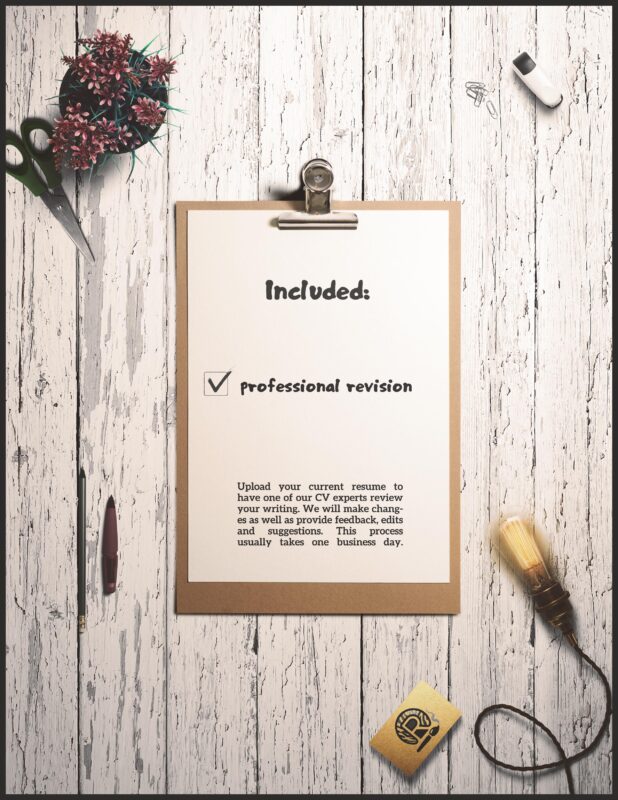 Custom Resumes